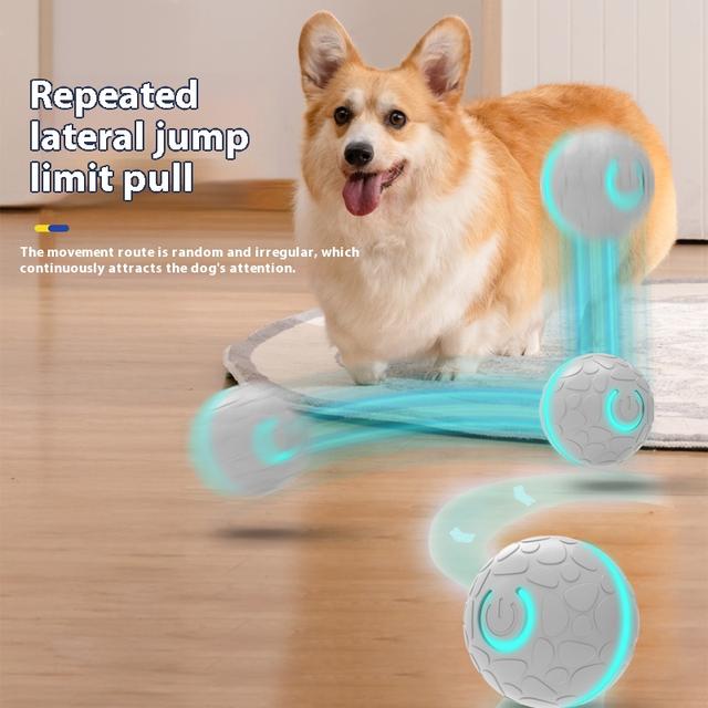 Selected pet toy